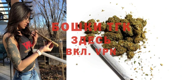 ГАЛЛЮЦИНОГЕННЫЕ ГРИБЫ Верхний Тагил