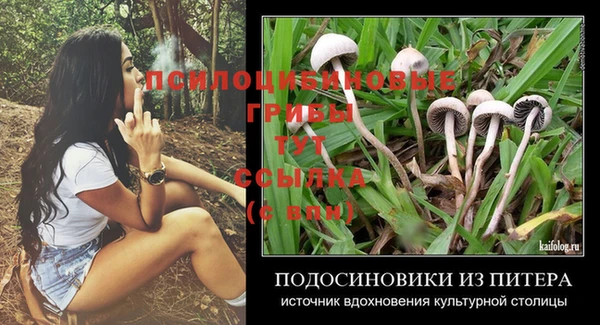 ГАЛЛЮЦИНОГЕННЫЕ ГРИБЫ Верхний Тагил