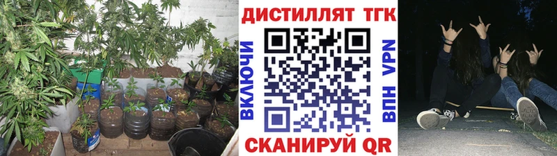 закладка  Нижний Тагил  Дистиллят ТГК Wax 